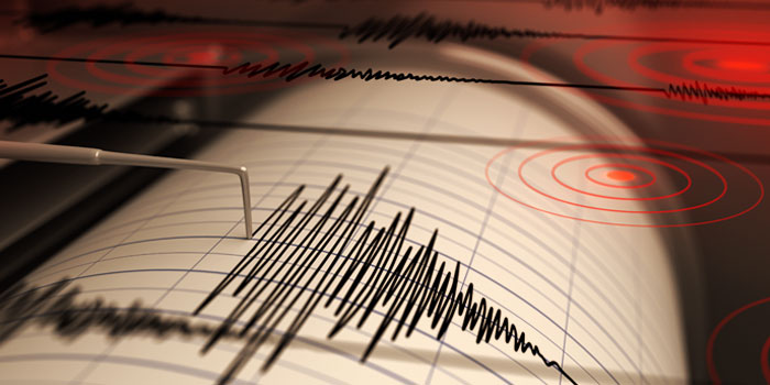 earthquake warning system