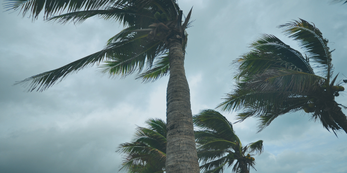 Emergency Hurricane Preparation for Businesses